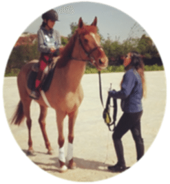 BİNİCİLİK EĞİTİMİ